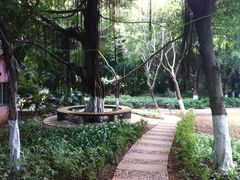 景点-江头公园