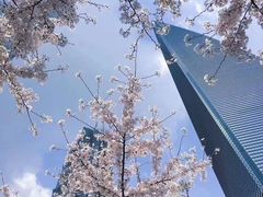 -上海中心大厦