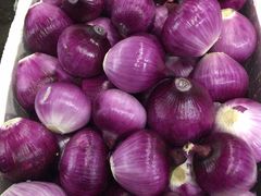 -深圳市海吉星国际农产品物流管理有限公司