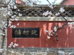 -潭柘寺景区