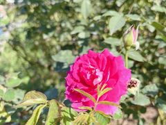 -人民公园(罗湖区)