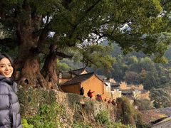 -杨家堂村