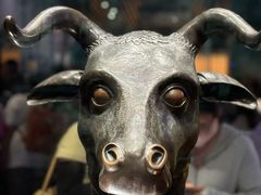 -广西壮族自治区博物馆