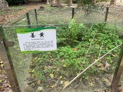 -广西壮族自治区药用植物园
