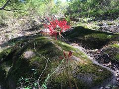 -雁荡山三折瀑景区