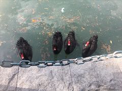 -茵特拉根酒店·西餐厅