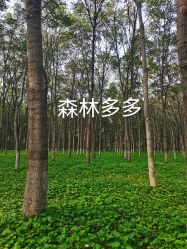 -将府公园儿童游乐场