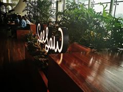 -Seesaw Coffee(朝阳大悦城店)