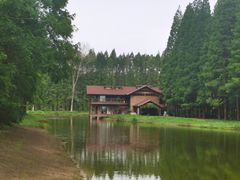 -黄海国家森林公园