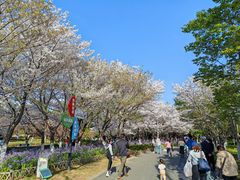 -白塘生态植物园