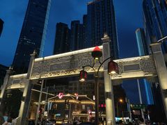 -黑色经典臭豆腐·湖南特产(坡子街店)