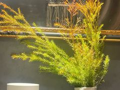 -滇野云南野生菌餐厅(陕西南路店)