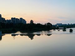 -灞河西岸滨河公园
