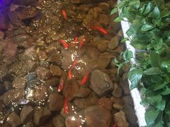 -丰茂烤串(公园店)