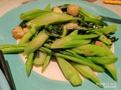 -新世界餐厅(万达店)