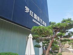 -罗红摄影艺术馆