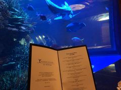 -迪拜帆船酒店海底餐厅