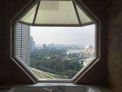 -新加坡丽思卡尔顿美年酒店