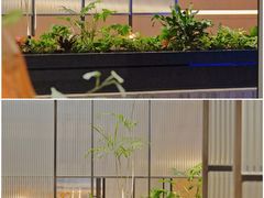 -新加坡乌节希尔顿酒店 (SG Clean)