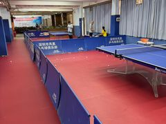 -大凤凰乒乓球馆