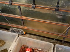 -上名堂·鱼头好吃(体育场路店)