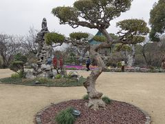 -无锡梅园公园