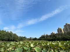-前关湿地公园