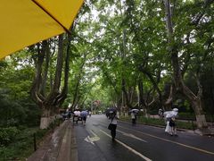 -南京东郊国宾馆