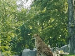 -北京野生动物园