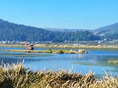 -腾冲北海湿地