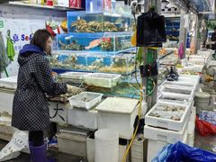 -岳各庄批发市场(西四环中路店)