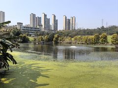 -张坝桂圆林公园