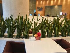 大堂-成都鼓楼智选假日酒店-餐厅