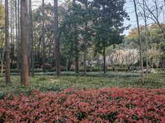 -徐家汇源景区-衡山公园