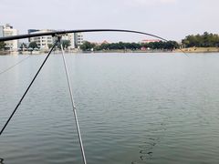 -美兰湖景区