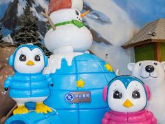 -长沙湘江欢乐雪域