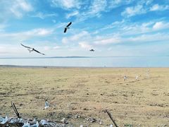-青海湖国家重点风景名胜区