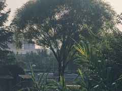 -郑州植物园