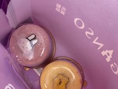 -元祖食品GANSO(常州新北区店)