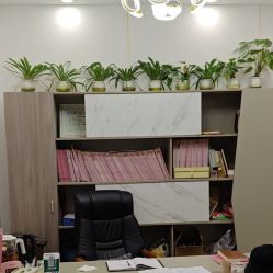 -清雅诗韵丽人产后恢复(回龙观店)