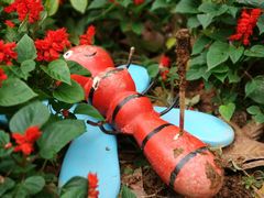 -人民公园(罗湖区)