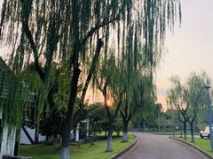 -太阳岛度假酒店