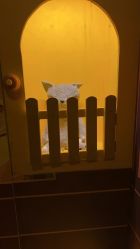 -疯狂冒险家-亲子密室-东坝店(金隅嘉品店)