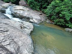 -广州白江湖森林公园