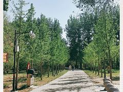 -廊坊市自然公园