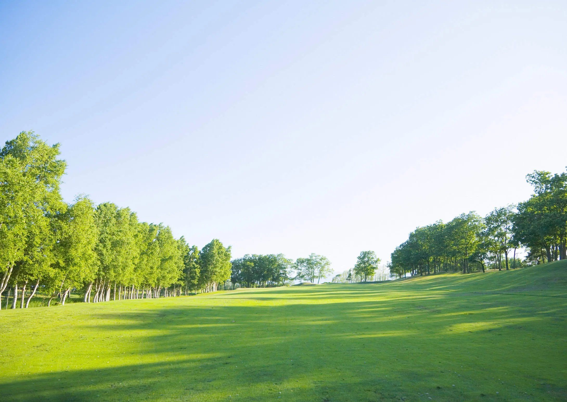 天天领红包微风轻拂过翠绿的草地,草浪翻