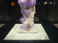 -中国地质大学逸夫博物馆