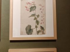 -温州博物馆