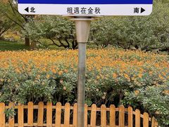 -香山公园