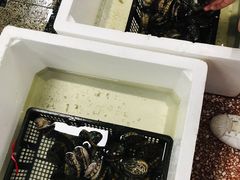 -渔人湾码头海鲜市场负二楼